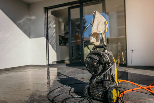 Best Spring Cleaning  in Wyandotte, MI